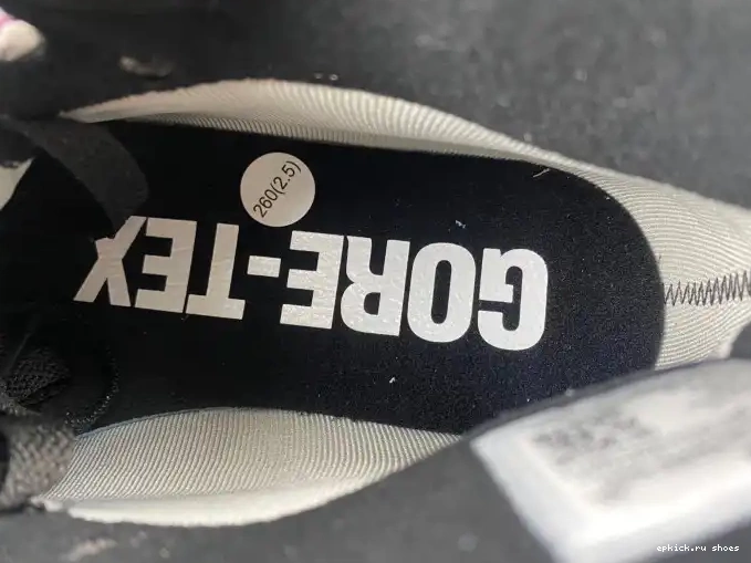 Rep Element Jordan DB2889-500 Air Gore-Tex 1 0601